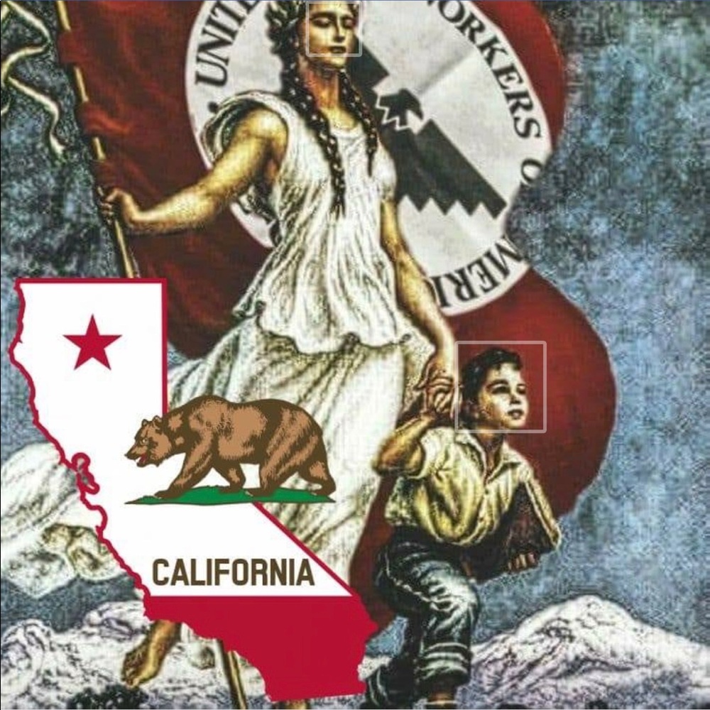 Meet your Posher, MICKEY